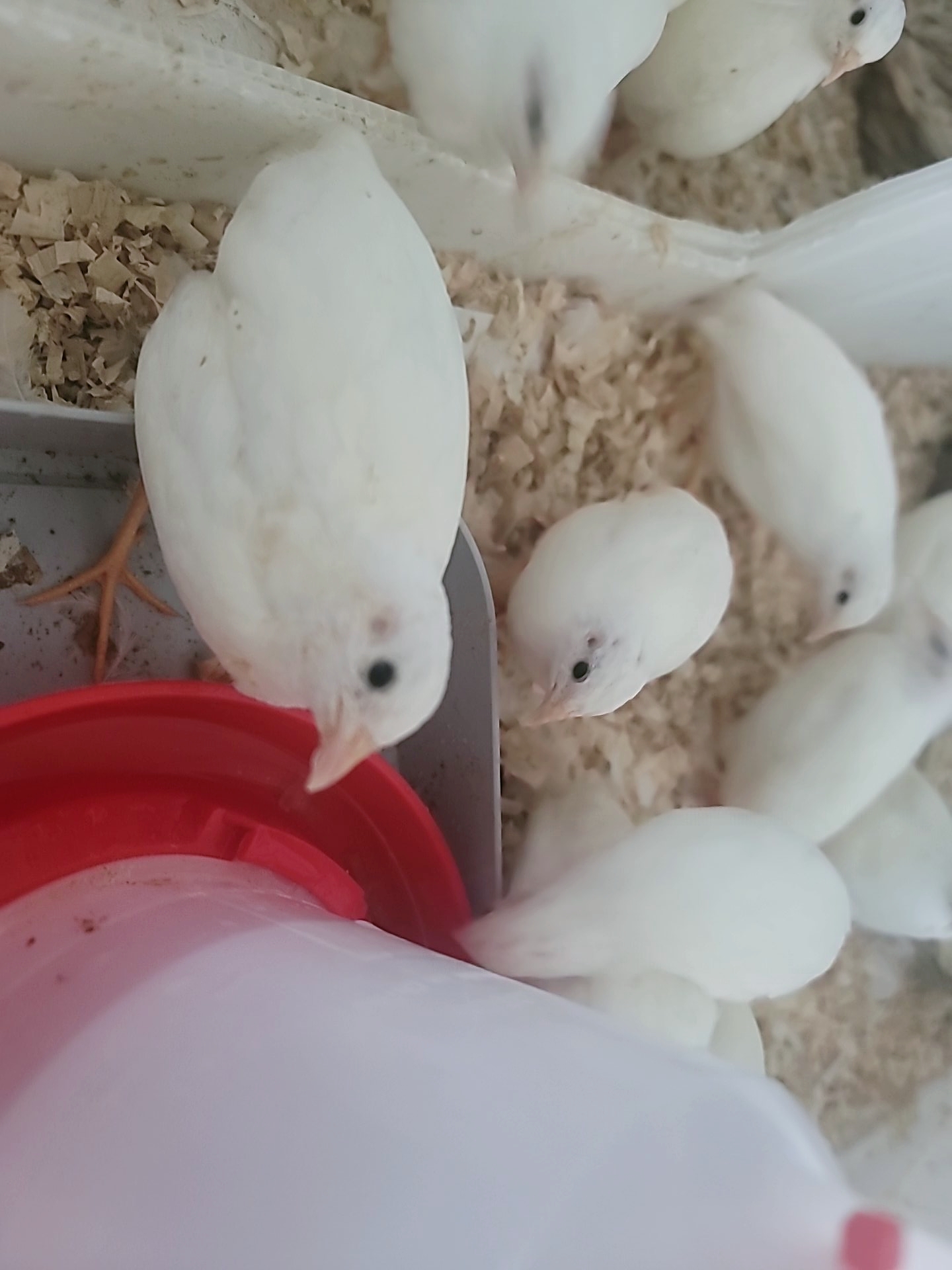 뮤직홈 오케스트라 사역 현장