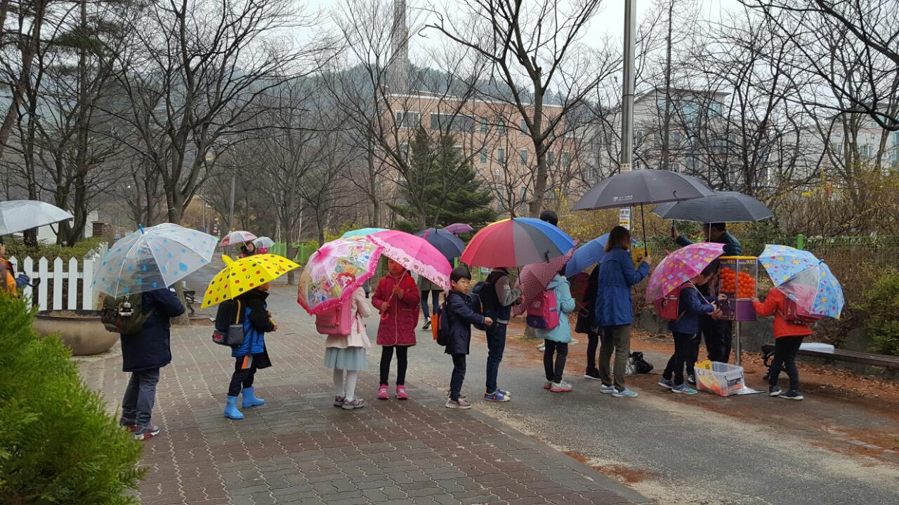 뮤직홈 오케스트라