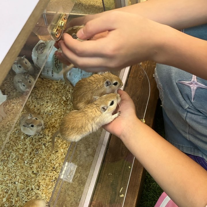 뮤직홈 오케스트라 - 교회속 체험센터 타카 슬라임 카페