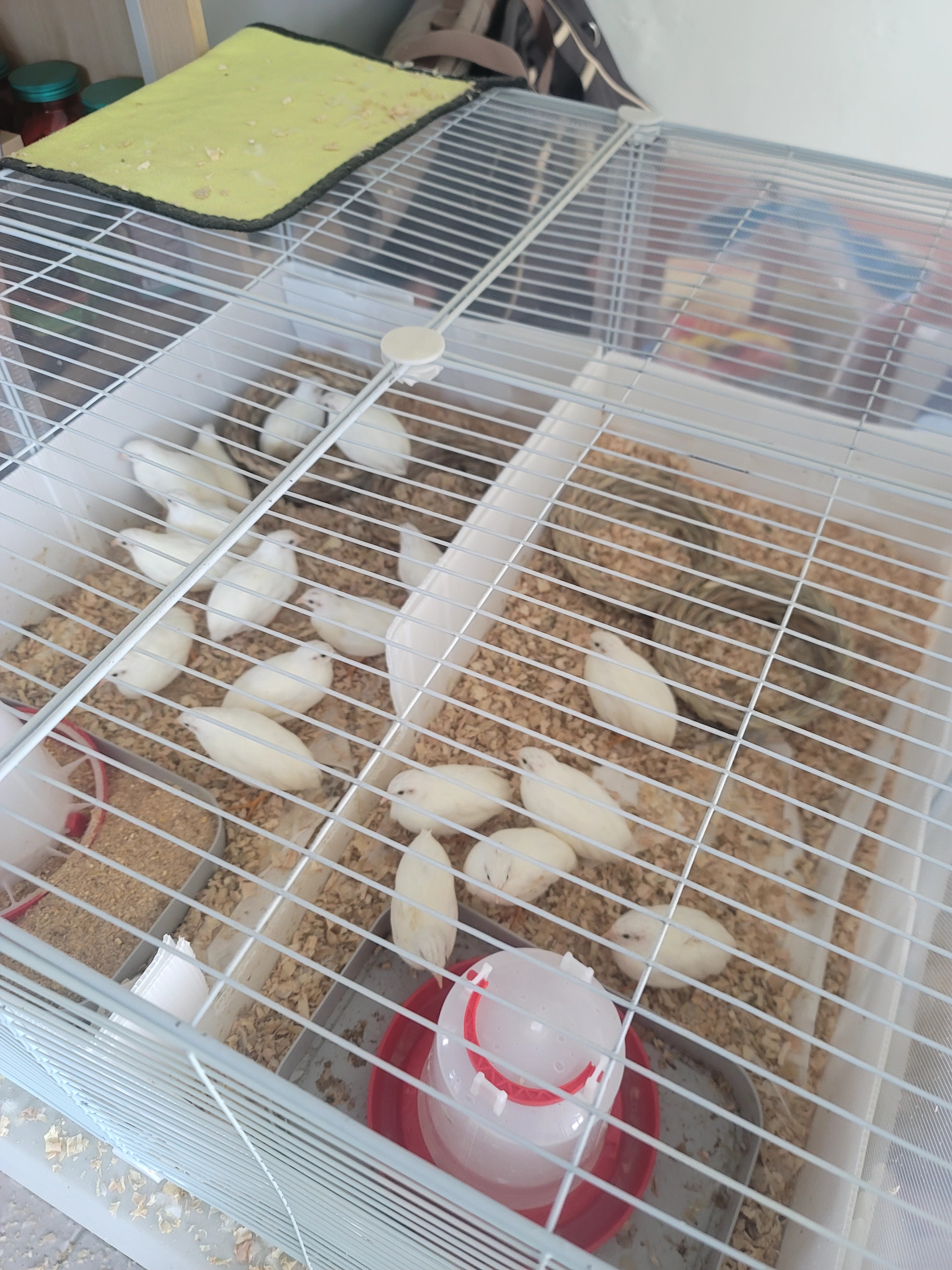 뮤직홈 오케스트라 - AI 리더스